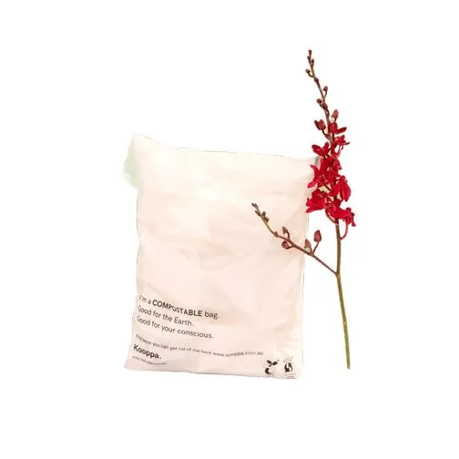 100 X Clear Biodegradable Medium Mailer 250X340mm Compostable Bag Satchels