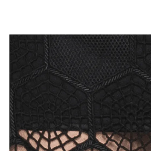 Mesh Panel Embroidered Dress